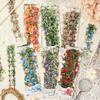 Yuezhenteng Holding Flower Thread Waterproof Sticker Hand Account Sticker Hand Account Sticker Children's Sticker Pet Hand Account Material