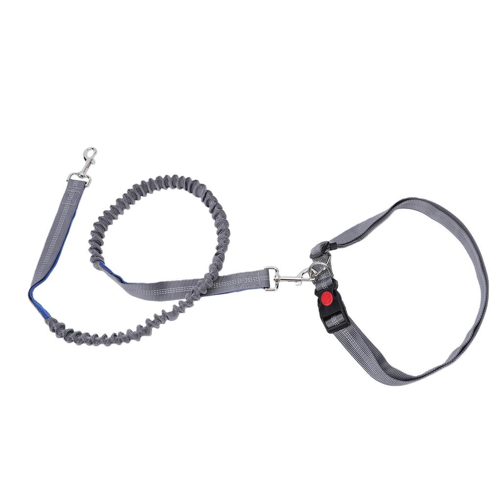Dog Leash Multifunctional D Ring Reflective Strip Anti Pull Lock Buckle Nylon Dog Rope Leash for Walking