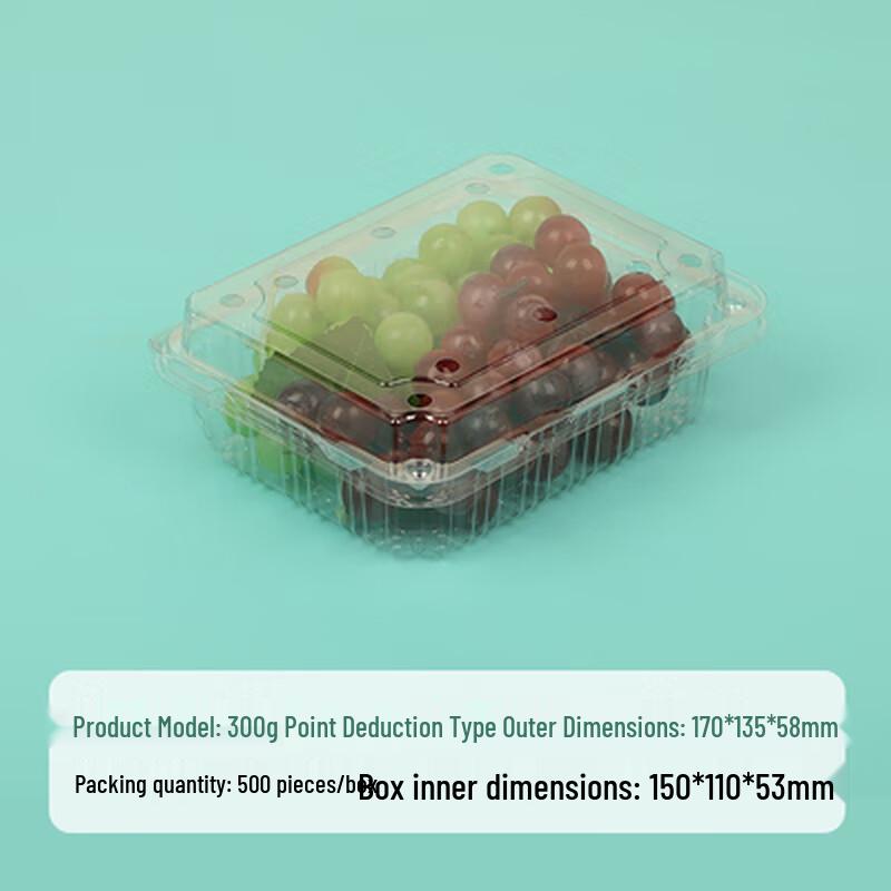 Shixun Disposable Transparent Fruit Containers with Lids (100-Pack)