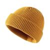Knitted Hat Women's Cold Hat Winter Hat Men's Autumn and Winter Melon Leather Hat Solid Color Versatile Dome Wool Hat