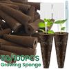 50/100Pcs Grow Sponges Hydroponics Seed Starter Sponges Kit Professional Sponge Water Absorbent Grow Pod Kit Gardening Accessory