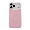 Chic Jelly Liquid Silicone Magnetic For Magsafe Case For iPhone 17 Air 16 E 15 14 13 12 11 Pro Max Matte Shockproof Cover