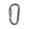 5pcs D-Buckle with Lock Mountaineering Buckle Aluminum Alloy Safety Camping Outdoor Equipment Keychain Backpack