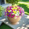 12 PCS Artificial Flowers Morning Glory-Outdoor Decor, Colorful Daisy Planter - Front Door, Porch, Patio, Window Box-Home Decor