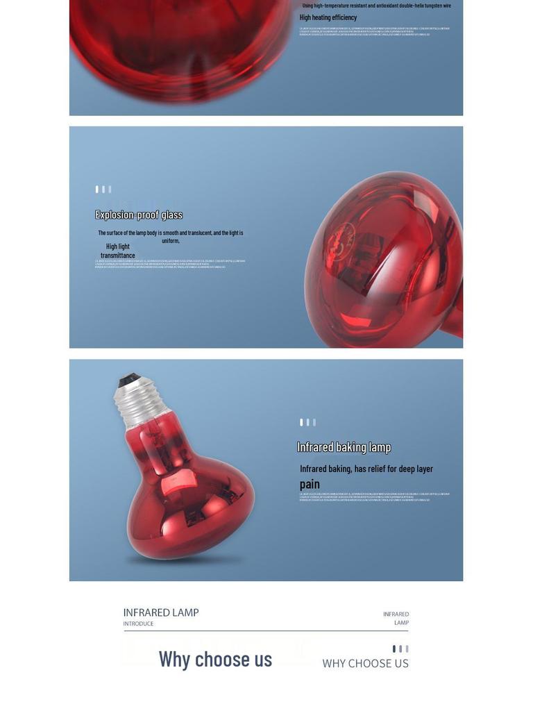 Infrared Beauty & Heating Lamp for Animals and Humans 220V/110V