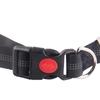 Empty Shell Weight Carrying Strap Vest with Pockets Muscle Training Kit Dogo Argentino American Pit Bull Large Canine K9 Jacket