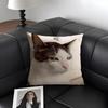 Meme Cat Funny Cushion Cover Natural Linen Organic Fabric DoubleSided Printing Sofa Home Decor Gift Pillow Case