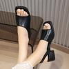 Summer cool slippers thick heel 2025 Rome new women's shoes square head black niche French retro sandals women