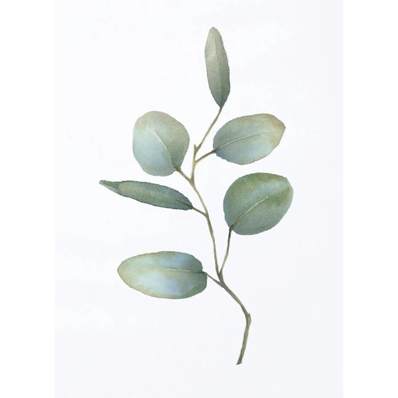 Akwarelowe Plakaty Liściowo Zielone Botaniczne Wydruki Eukaliptusa Obraz na Płótnie Sztuka Ścienna Obrazy do Salonu Dekoracja Domu