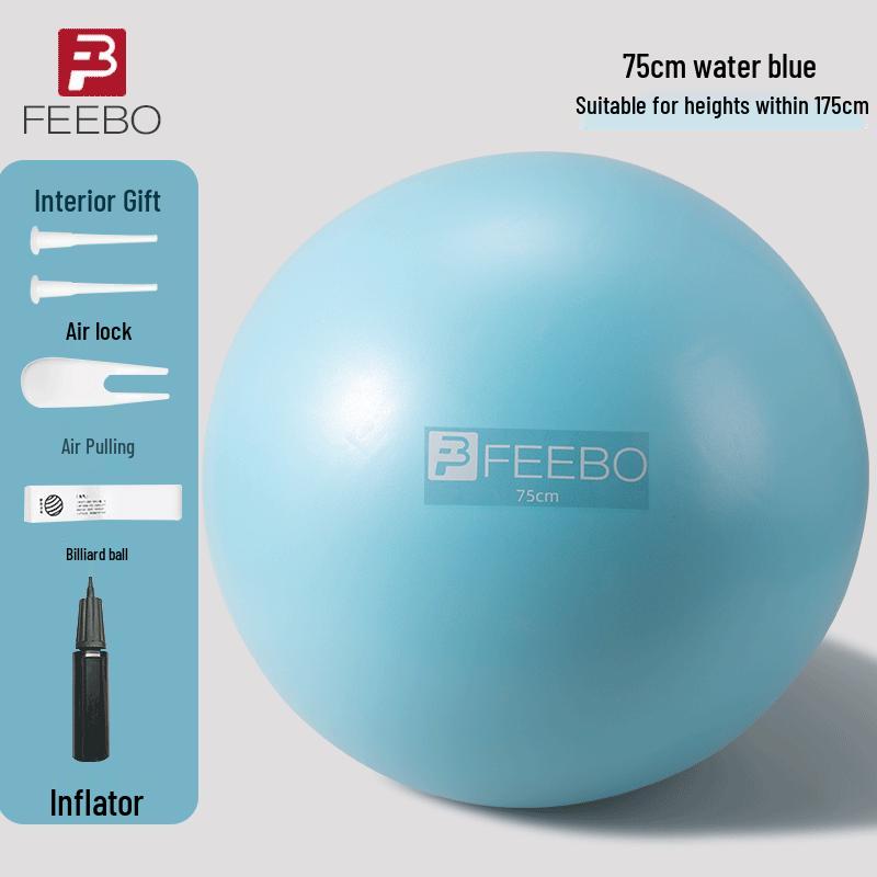 

FEEBO Yoga Ball