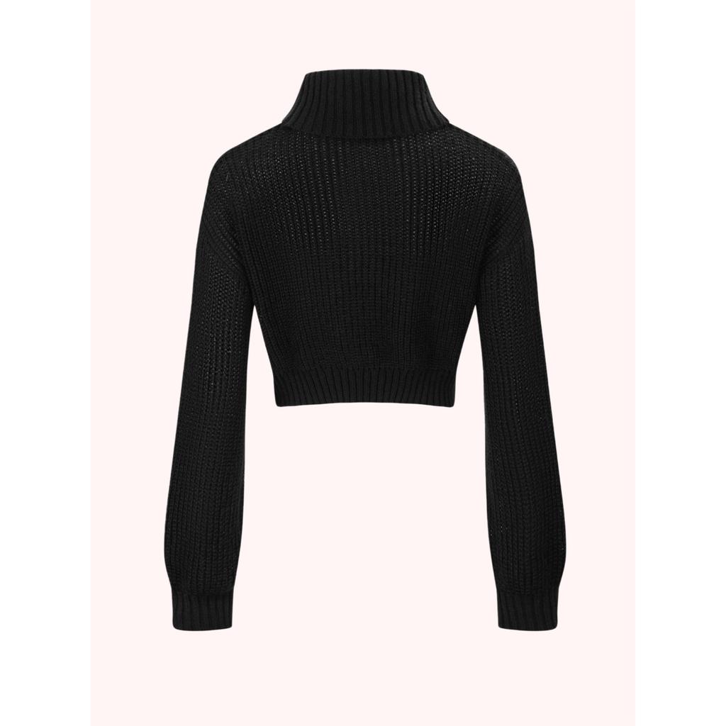 Butterfly Pattern Turtle Neck Pullover Sweater, Casual Long Sleeve Crop Sweater, Women's Clothing