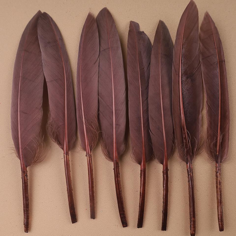 Duck Feathers for Clothes Handicraft Accessories White Golden Black Pink Peacock Goose Feather Plumas Handicraft Article