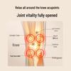 SKG W3 Gen 2 Heated Knee Massager CN plug (adapter included)