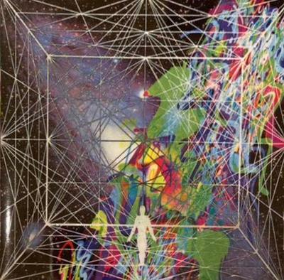 CD STROBO - Primitive Future  WINN820074 Warner Indies N 2001 Japan Rock Gebraucht