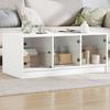 VidaXL Coffee Table with Glass Doors, End Table with Storage, Side Table, Living Room Furniture 836413