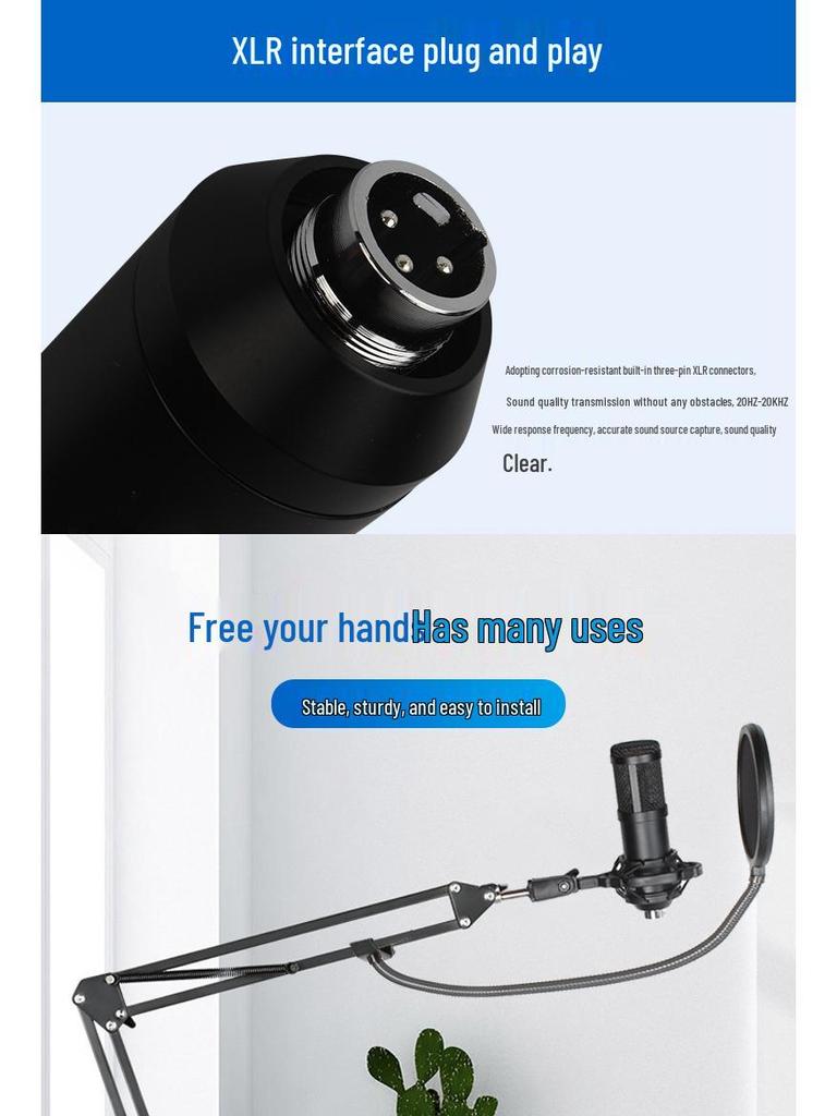 BM800 Condenser Microphone Set: Large Diaphragm, Streaming Stand, and Recording Equipment