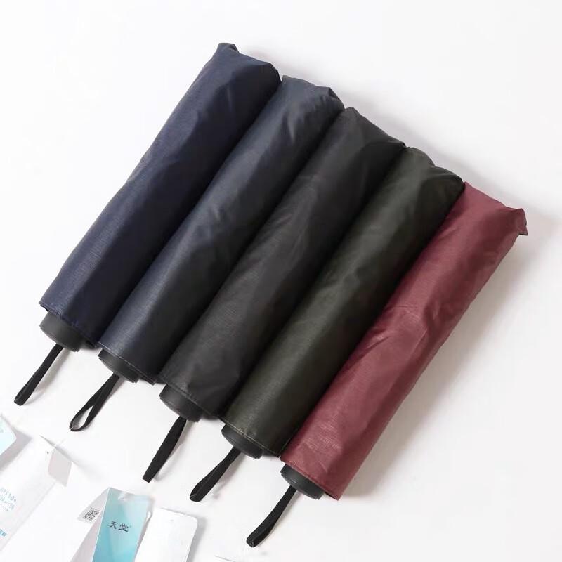 

Paradise Umbrella UV Protection Folding Travel Umbrella (2-Pack)