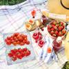 Clear Plastic Square Hinged Food Container, 5" Length X 9" Width X 3" Depth, 10P