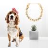 Plastic Fashionable Shiny Dog Choke Chain Choker Decoration Collar for French Bulldog(gold)