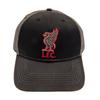 Liverpool FC Adults Unisex Cap CC