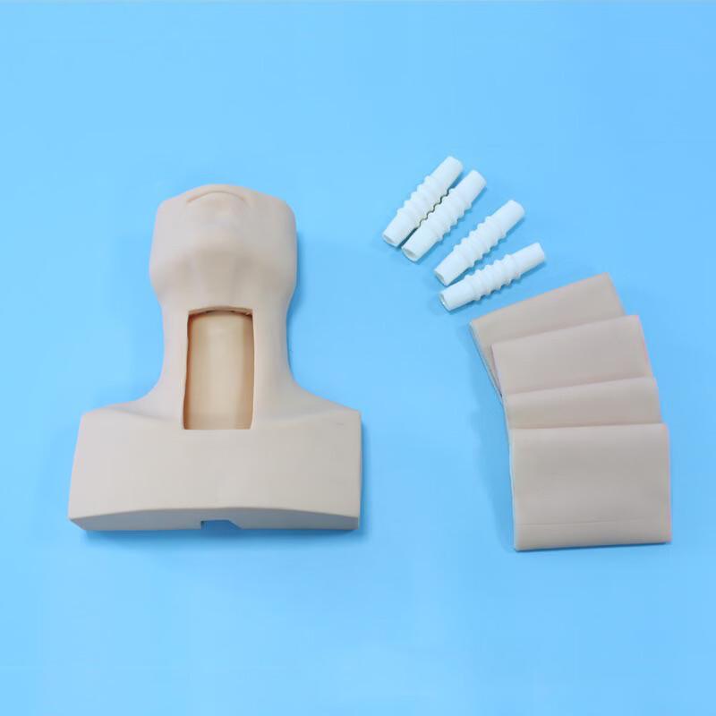 Zhengde Hongxin Airway Management & Procedure Training Models