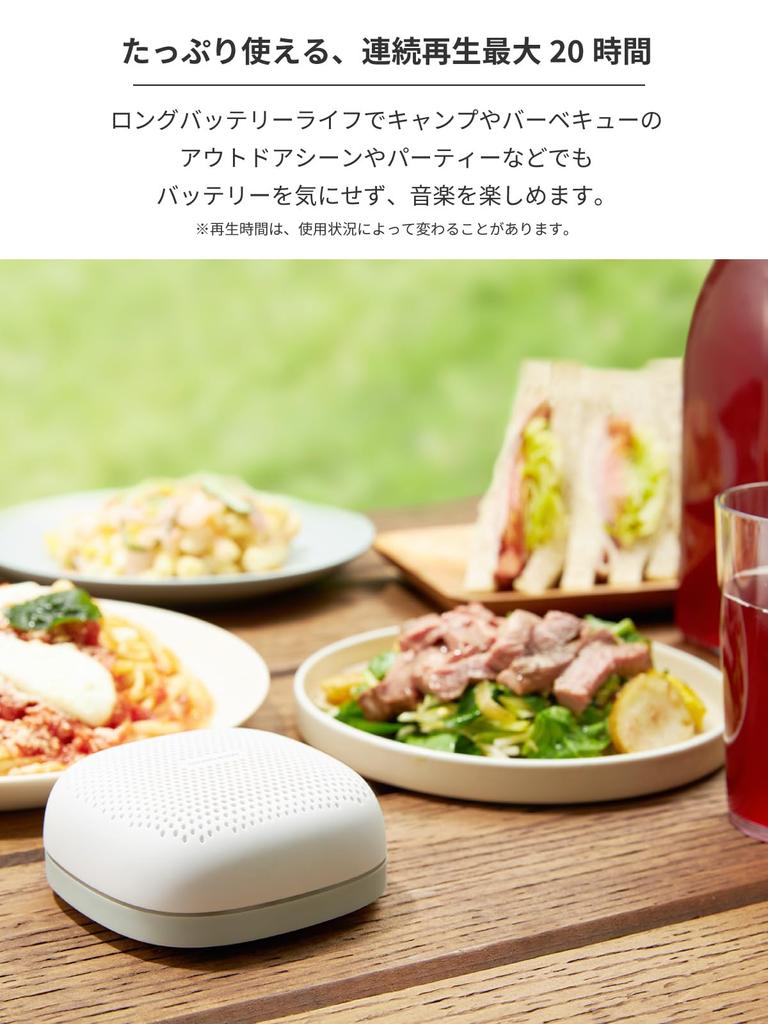 Radius SOUND BUMP Portable Bluetooth Speaker, microSD Card, Wide FM, IPX5 Waterproof SP-S15BTW (White)