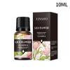 10ML Essential Oils for DIY Scented Candle Soap Essence Fragrance Oil Perfume Refill Aroma Diffuser Natural Plant Essential Oil