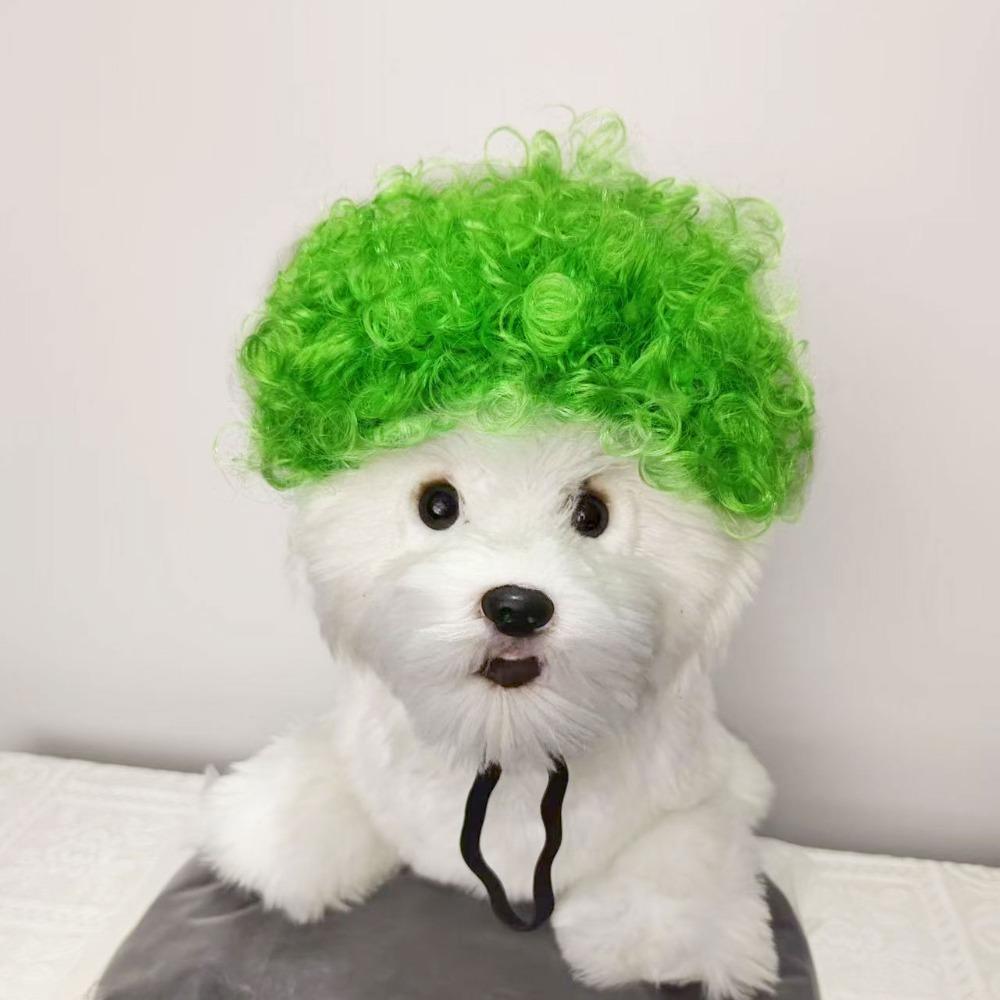 Kreative Lustige Haustierperücke Verstellbares Afro-Design Hundeperücke Elastisches Banddesign Katzenperücke Haustier Cosplay Requisiten Fotografie Scherzgeschenke