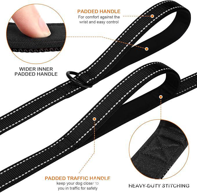 Double Layer Explosion-Proof Reflective Dog Leash - Shock-Absorbing, Thickened Pet Leash