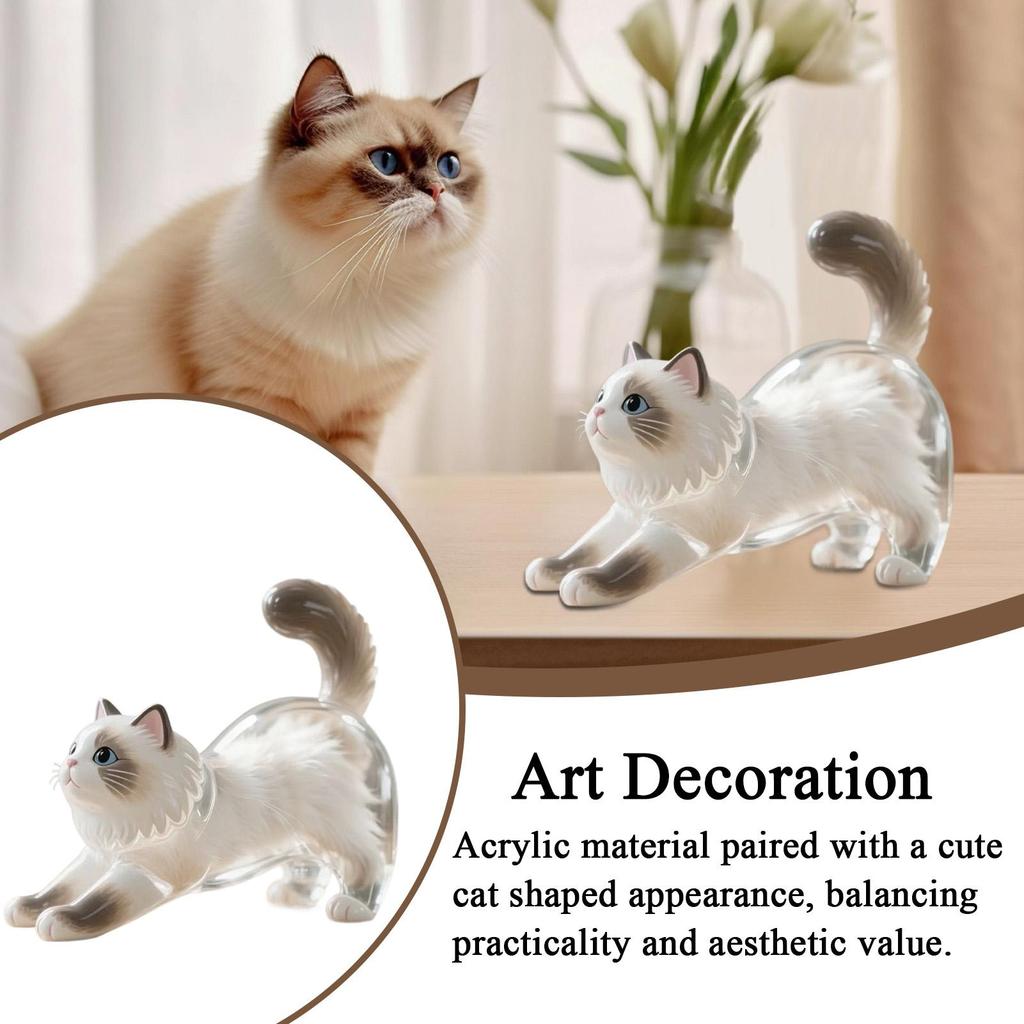 Cute Cat Key Chain Cat Dog Keepsake Hair Keyring Acrylic Pendant Clear Memorial Keychains for Collection Backpack Purse Bag