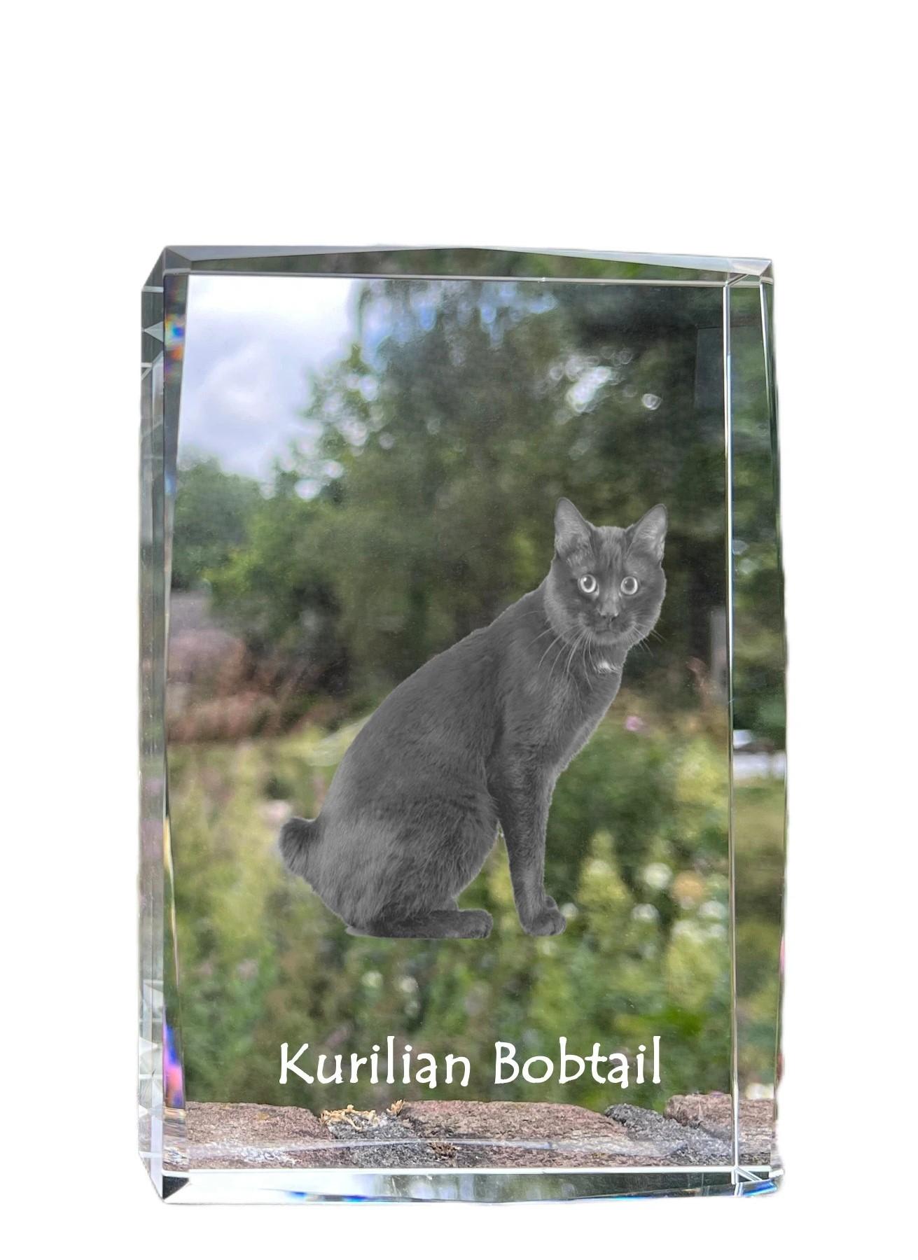 

Kurilian bobtail - crystal with a picture of a cat, photo in glass, modern exhibition of Art-Dog brand photo
