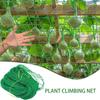 Plant Climbing Net 78.74x118.11 Inches Cucumber Trellis Netting Fruit Growth Protection Flower Support Net For Vegetable