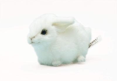 BH5823 HANSA Lapin 16