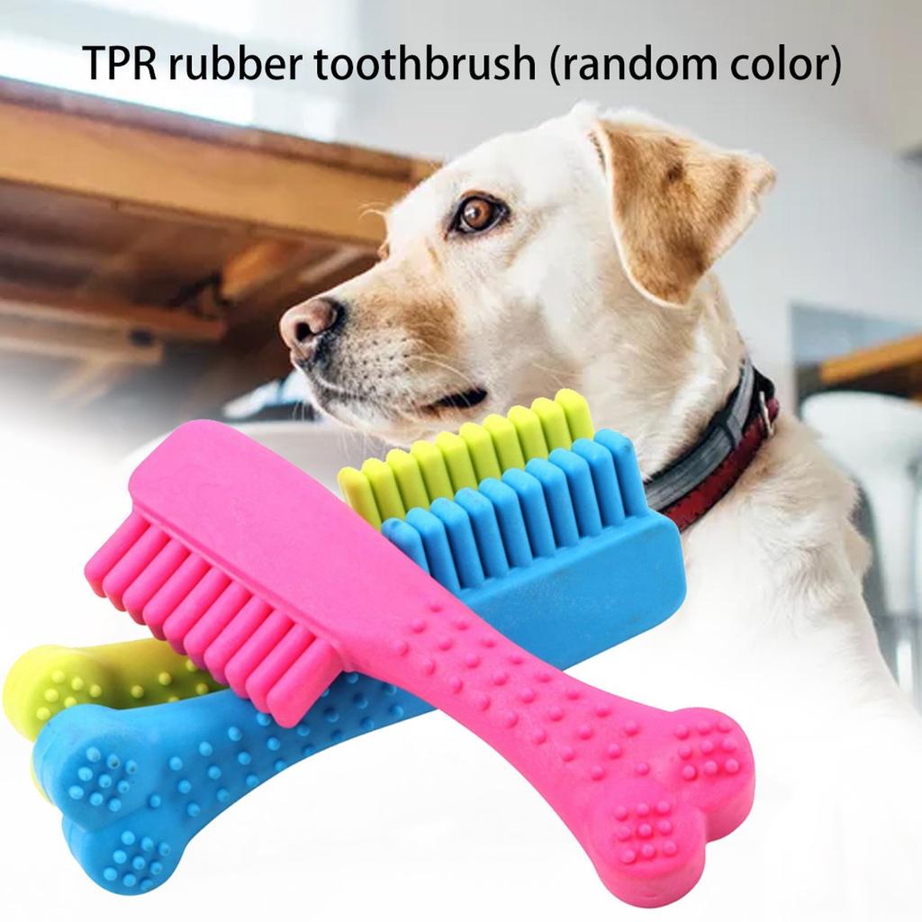 dog bites toothbrush