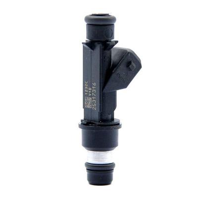 25317316 Fuel Injector For Vauxhall