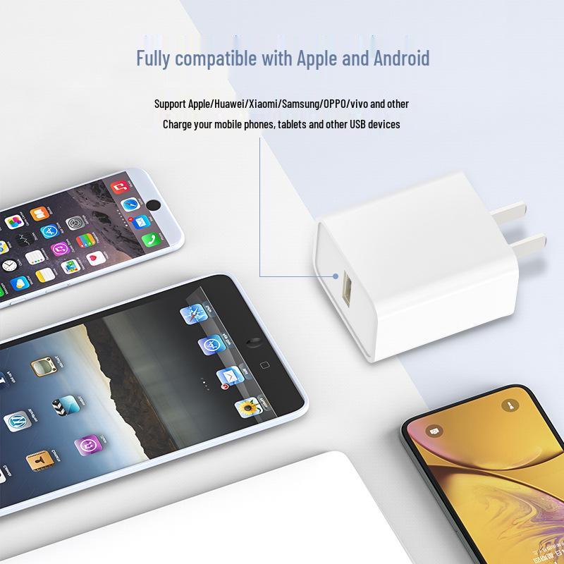 Dual Port 2A Fast Charger USB Adapter, 3C Certified for Mobile Phones