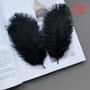 10pcs Feathers Ostrich 15-20cm Royal Blue Black White Pink Trim For Sewing Clothes Fabric Outfit Plumas Crafts Mixed Colors Hat
