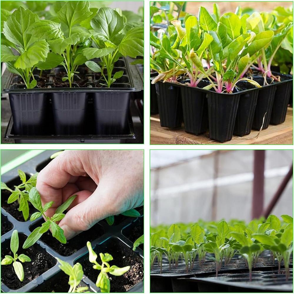 15pcs Mini Propagation Tray with Drainage Holes for Seedling Plants