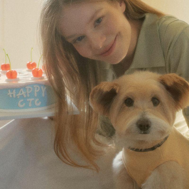 CROOKTHECHIHUAHUA Tägliche Waffel-Halbhosen (3 Farben)