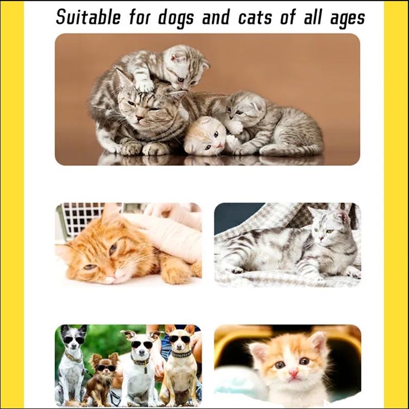 20 Stück Einweg Wasserdichte Haustier Schuhüberzieher Vlies Katzen Hunde Pfotenschutz Schmutzabweisende Socken Schuhe Haustierbedarf