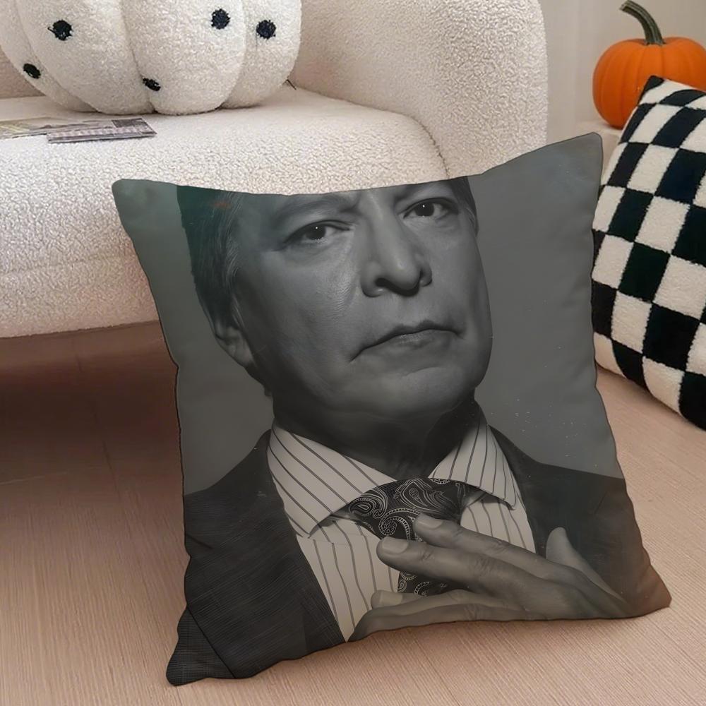 

TThomas Rainwater Cushion Cover Throw Pillow Cover Hidden Button Durable Polyester Chair Cushion 30X30cm