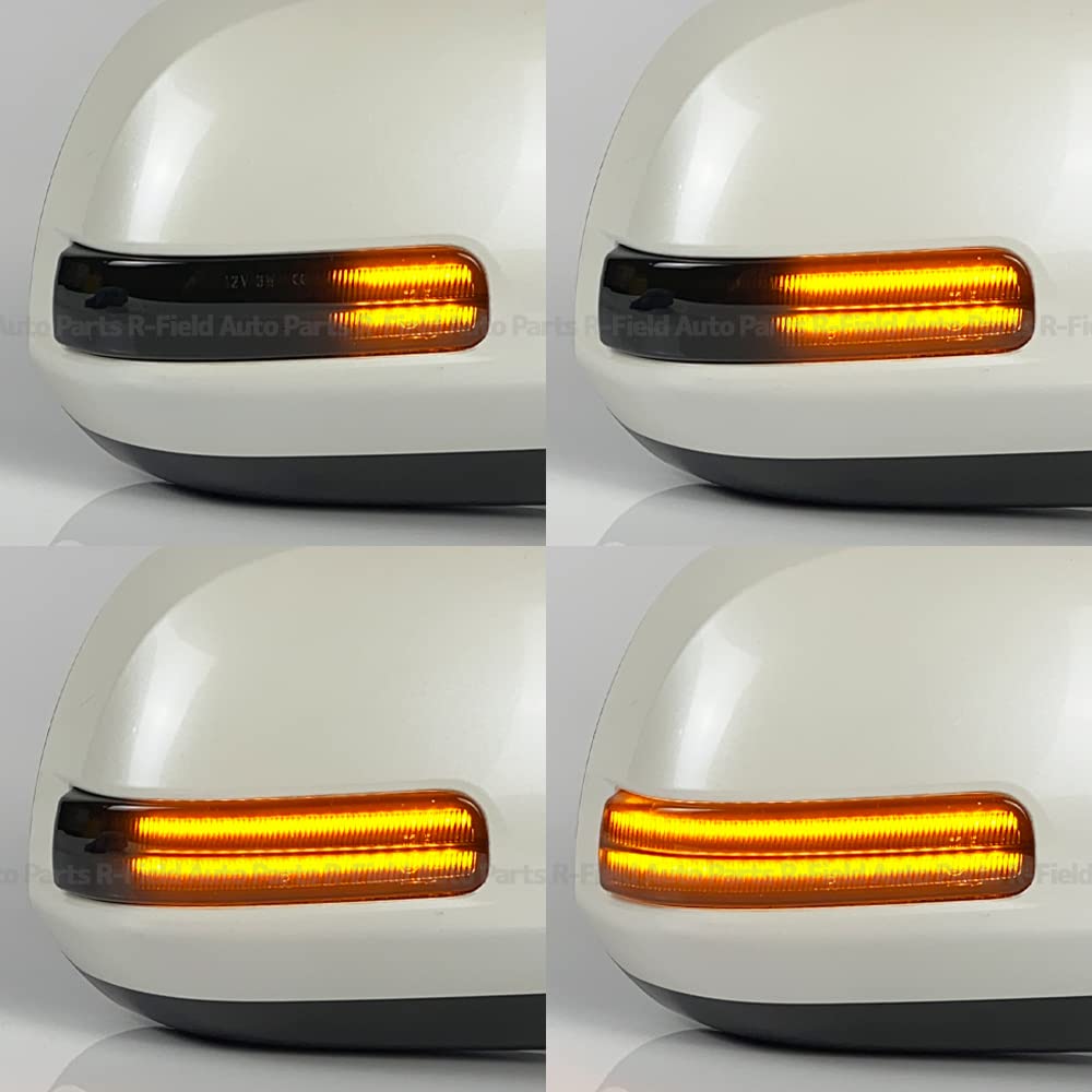 R-Field (Lighting Method Switch) with Blue Position Function, Sequential Side Mirror, Turn Signal, Smoke