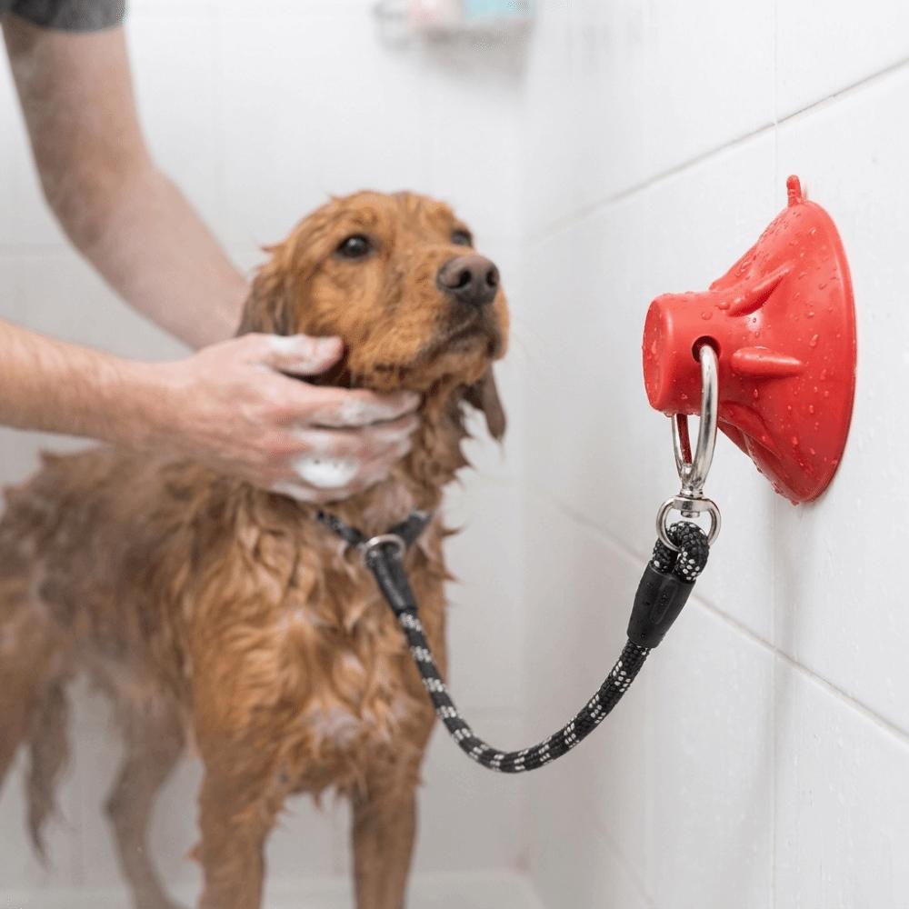 Anti Movement Dog Bathing Tether Suction Cup Pet Shower Fixed Collar  Pet Bath Accessories