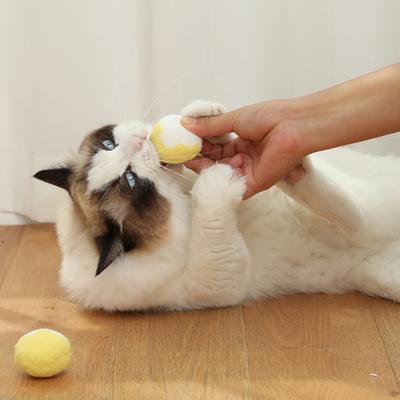 Zabawka dla kota Kolorowa Kolor makaronika Miękka Bawełniana Aksamitna Pluszowa Piłka Bezpieczna do Gryzienia Rysowania Cicha Łatwa do Czyszczenia Piłki Zabawki dla Kota