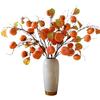 Persimmon Fruit Flower Arrangement: New Year's Dried Floral Decoration