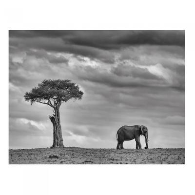 Mario Moreno Land der Riesen Druck