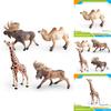 Wildlife Animal Model Set Pvc Camel Giraffe Educational Collectible For Kids Nature Learning