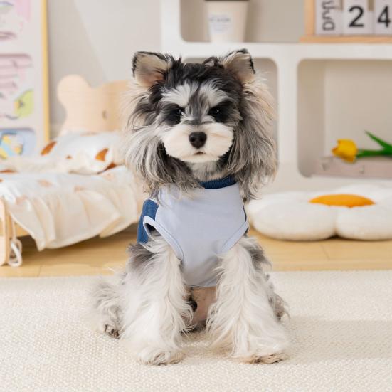 Dog T-Shirt Breathable Pet Vest Summer Dog Clothes Color Block Puppy Tee Shirt with D-Ring for Small Dogs