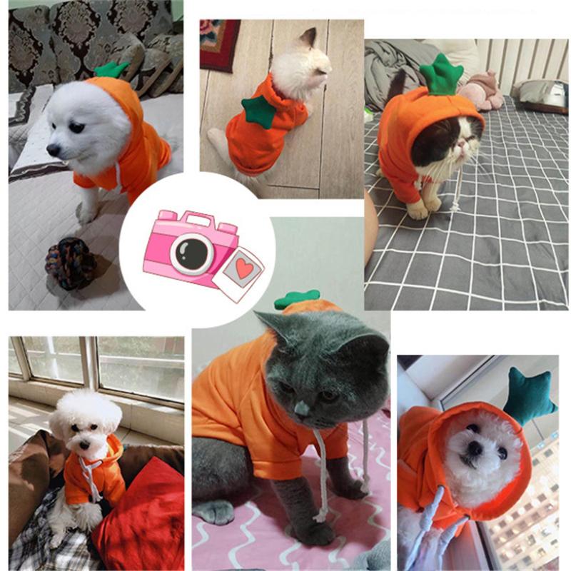 Cute Fruit Dog Clothes for Small Dogs Hoodies Warm Fleece Pet Clothing Puppy Cat Costume Coat for Chihuahua Jacket Suit