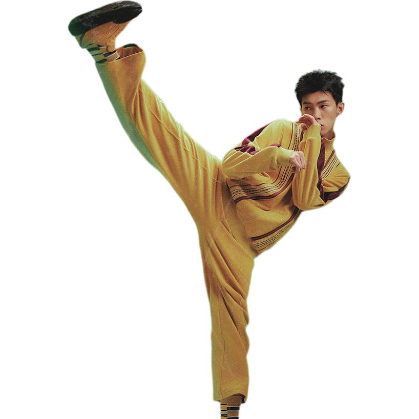 Li Ning X Bruce Lee Collaboration Kung Fu Series Loose Embroidered Ribbed Cuff Zipper Casual Jacket Men Jacket Ceylon-Yellow AFDT879-2